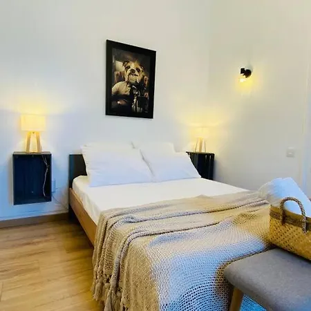Le Jean Mace, 200m Gare, Clim. Apartman